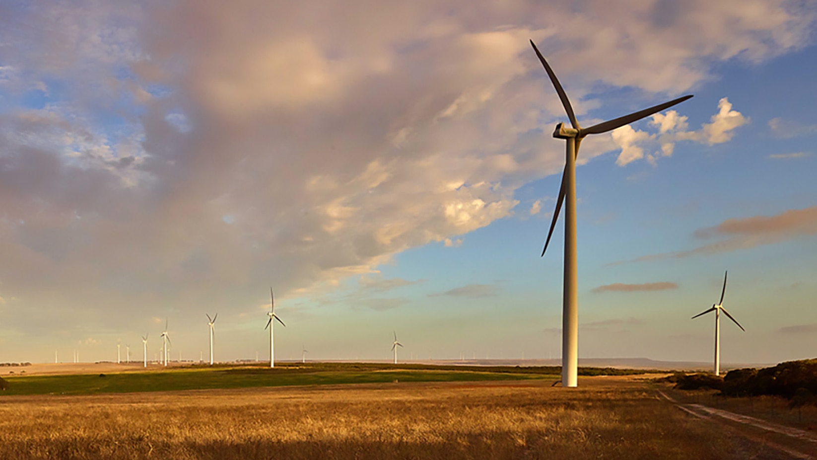 Several wind turbines pictures in a golden field. There is a large cloud in the sky.