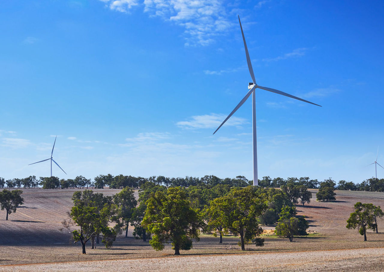 Windmills against a blue sky with green trees beneath them